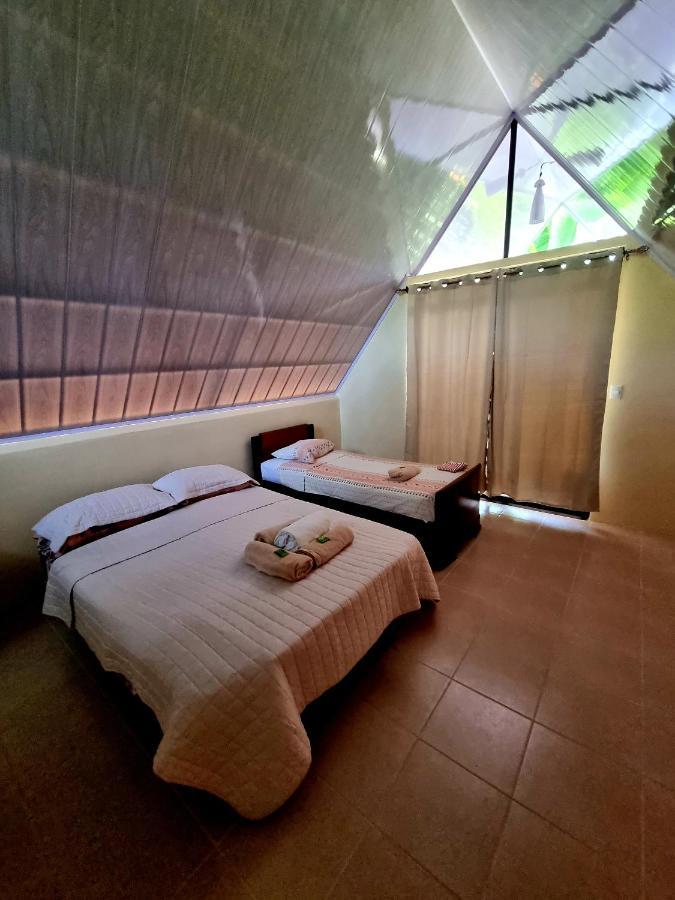 Ballena Oasis Homes & Glamping Uvita Esterno foto