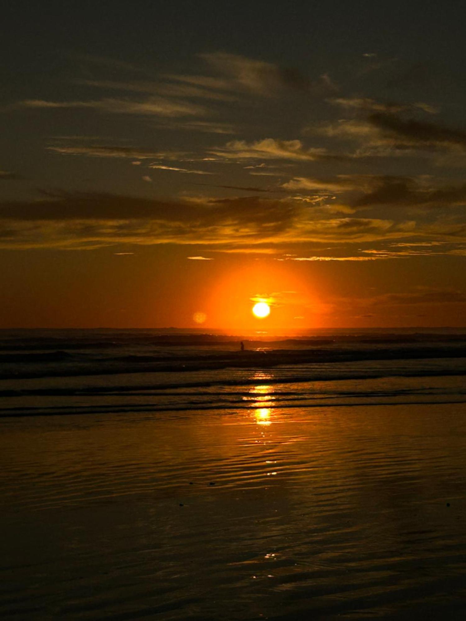 Ballena Oasis Homes & Glamping Uvita Esterno foto