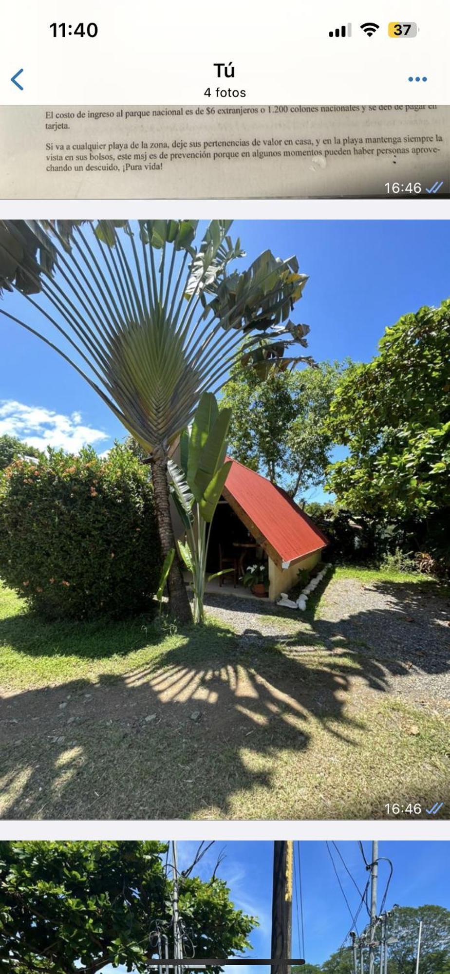 Ballena Oasis Homes & Glamping Uvita Esterno foto