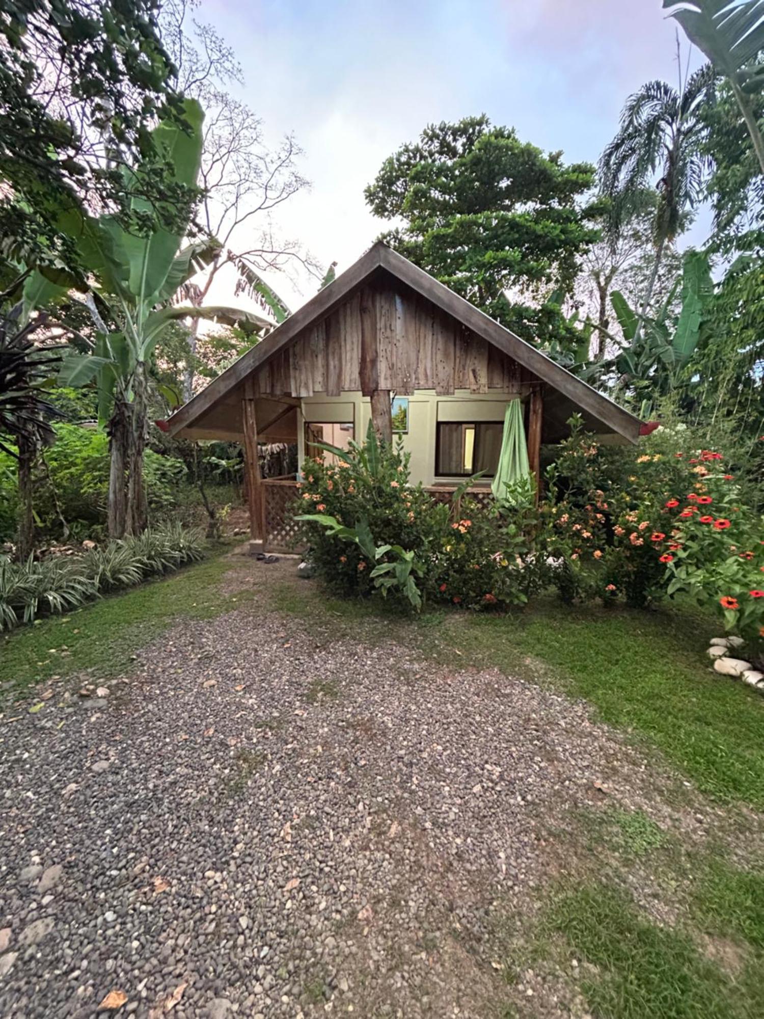 Ballena Oasis Homes & Glamping Uvita Esterno foto
