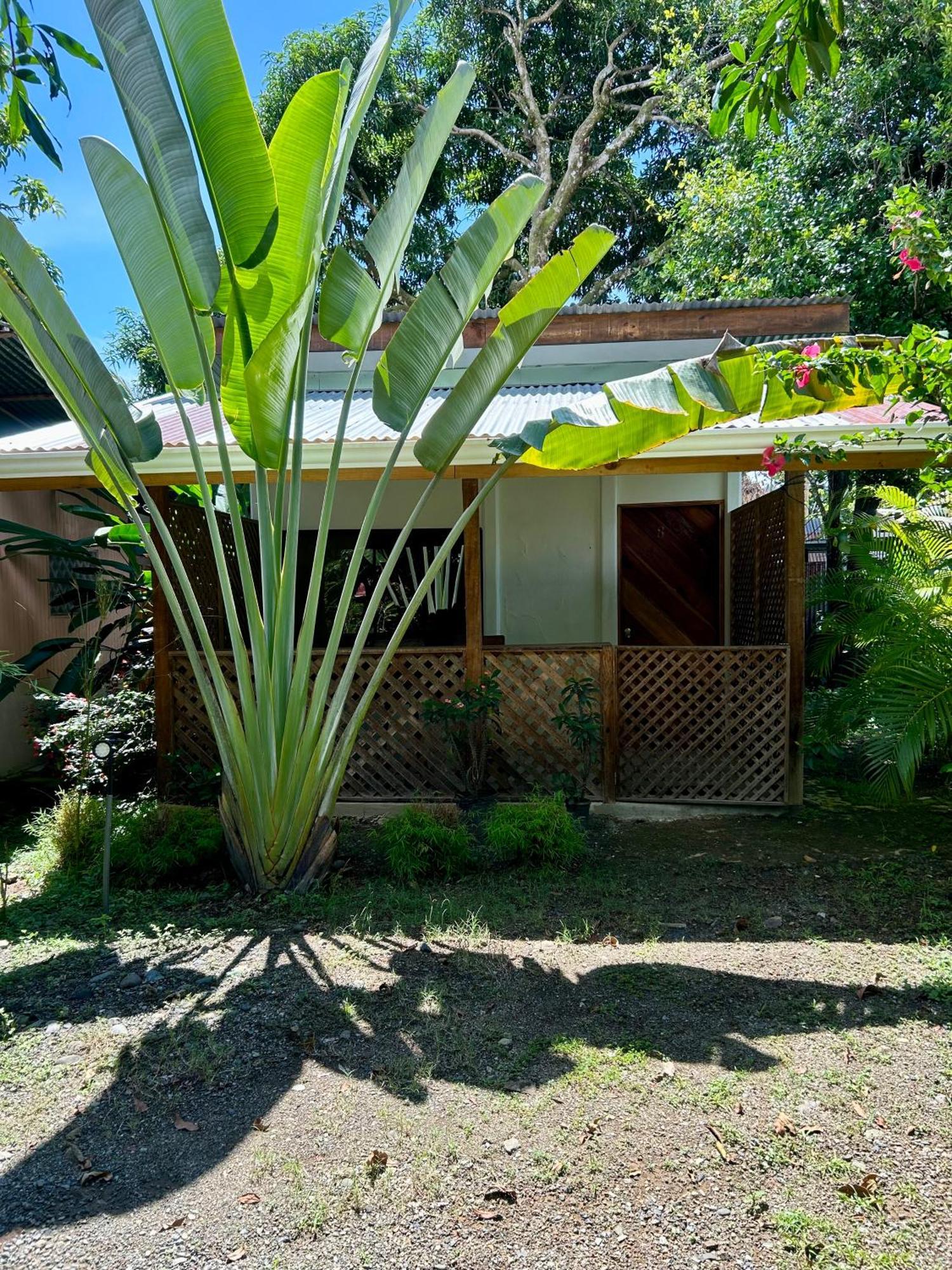 Ballena Oasis Homes & Glamping Uvita Esterno foto