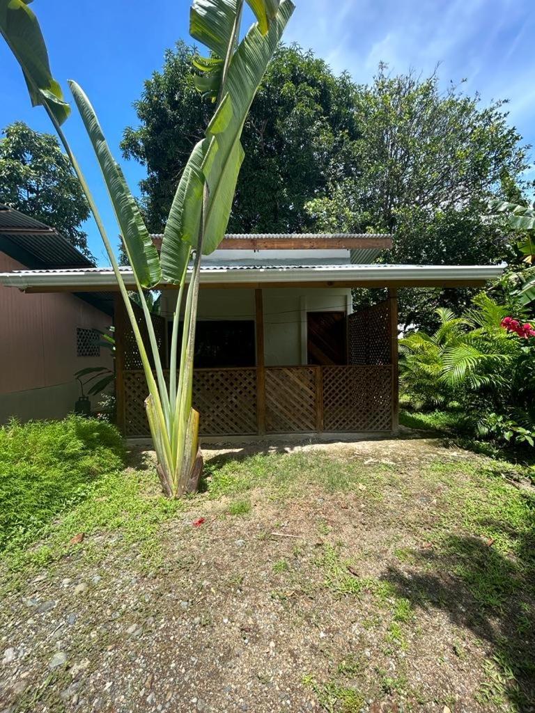 Ballena Oasis Homes & Glamping Uvita Esterno foto