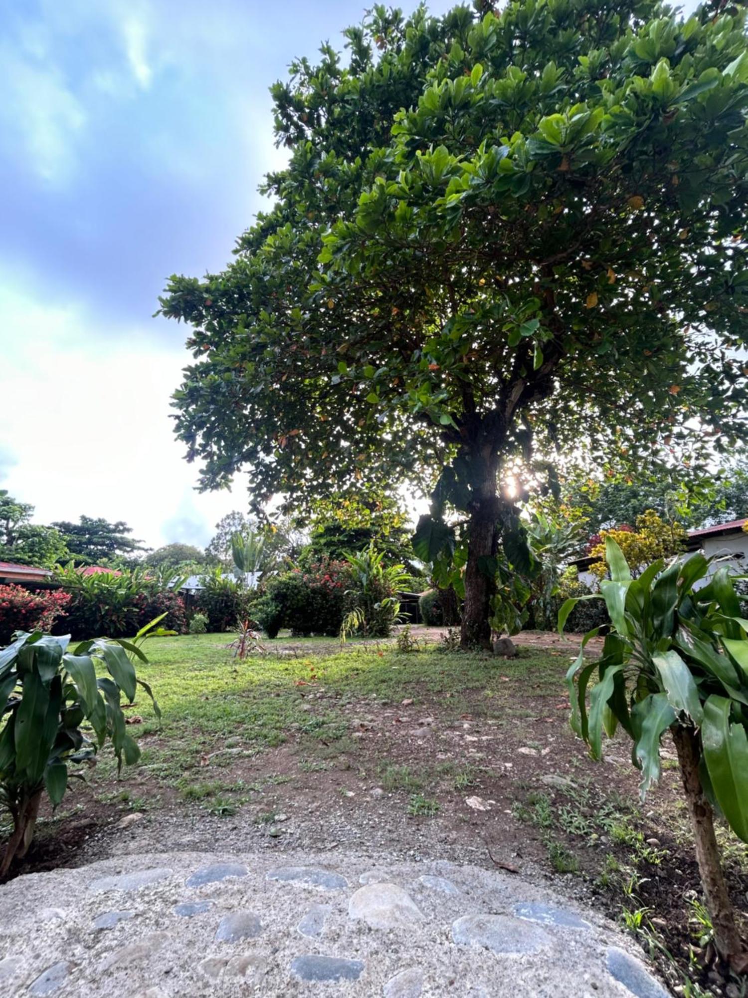 Ballena Oasis Homes & Glamping Uvita Esterno foto