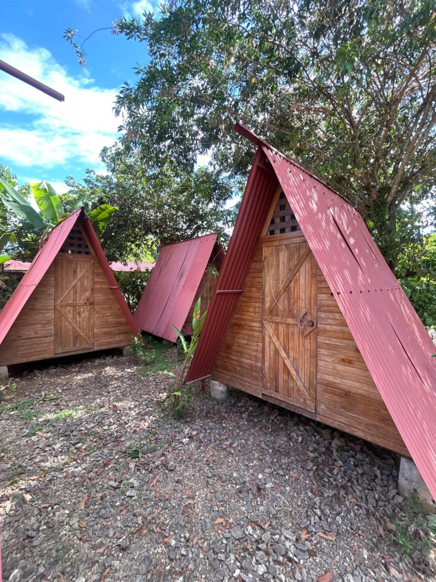 Ballena Oasis Homes & Glamping Uvita Esterno foto
