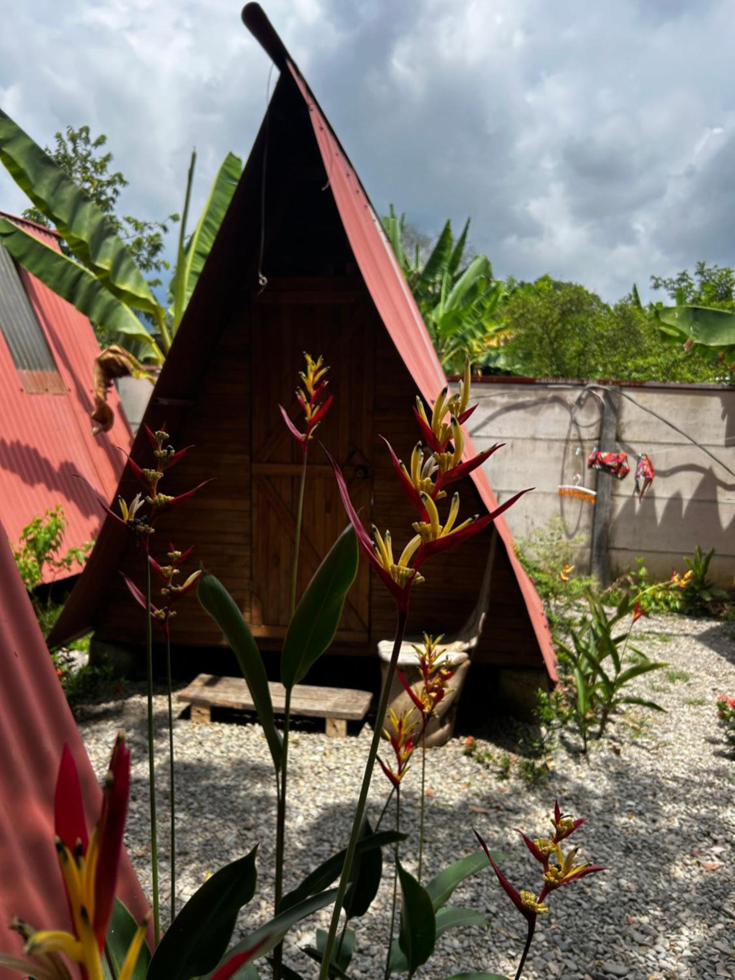 Ballena Oasis Homes & Glamping Uvita Esterno foto